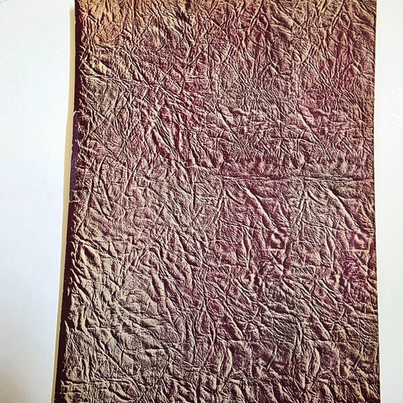 Anatomy by Walter T Foster: Anatomy for Teachers and Students - Picture 10 of 10